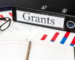 Small Business Grants