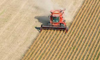 How has this year shaped up so far for agribusiness? CANSTAR surveys the industry predictions for the second half of the year.