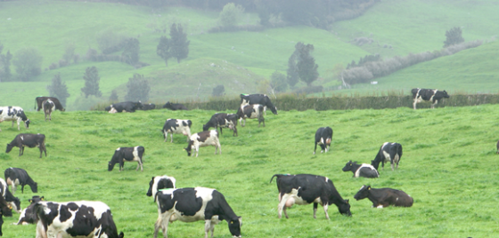 Award-winning agribusiness, ANZ, helps struggling farmers