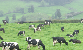 Award-winning agribusiness, ANZ, helps struggling farmers