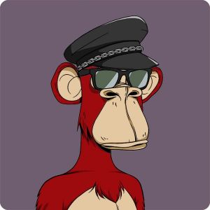 BAYC and ApeCoin: Bored Ape 1294