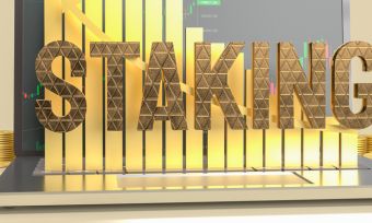 what is staking