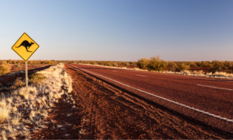 Can I Use My NZ Driver's Licence in Australia?